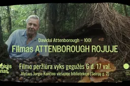 SENGIRĖS KINAS: filmo „Attenborough rojuje“ peržiūra