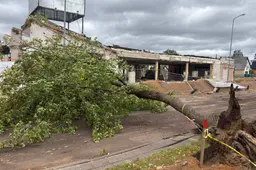 Dėl audros elektros Lietuvoje neturi 155 tūkst. gyventojų, Alytuje stiprus vėjas vartė medžius