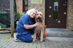 Savivaldybės parama padeda augti: Justinos veterinarijos klinikoje – daugiau galimybių gelbėti augintinius