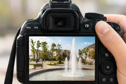 Pirmą kartą bus renkamas mylimiausias Alytaus metų fotografas