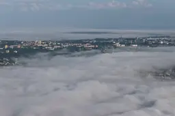Alytuje už 5 mln. eurų stato žuvų perdirbimo cechą
