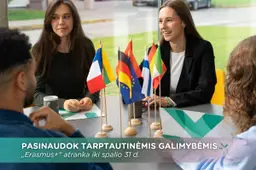 Studijos Alytuje, patirtys – nuo Airijos iki Maroko