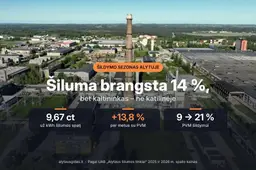 Radiatoriai šyla, sumos sąskaitose – kyla: kiek alytiškiams kainuos šis spalis