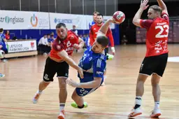 Alytaus rankininkai krito prieš vicečempionus