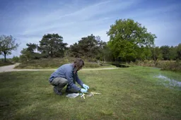 Vrijwilliger Wolf Monitoring