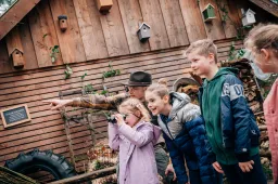 Unieke vleermuisavonden in het bos van DierenPark Amersfoort