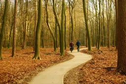 bike-path-5776664_1280