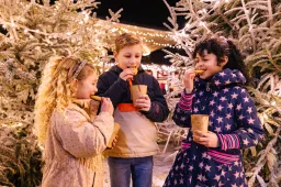 Het Magisch WinterWoud, winterse lekkernijen en Magische Winterillusies_ de Warme Winteravonden waren nog nooit zó betoverend