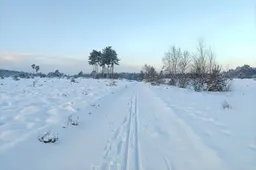 Ontwerp zonder titel (74)