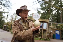 Door het hele park liggen op beide dagen tien gouden dino-eieren verspreid