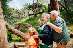 Vanwege de aanhoudende vergrijzing in Nederland kiest het park ervoor om de beleving deels aan te passen aan de behoeften van de oudere generatie