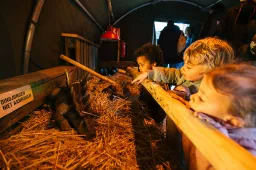 Survivallend komen de dinofans aan bij de dinobroedplaats, waar de avonturiers zelfs de dino-eieren kunnen bewonderen