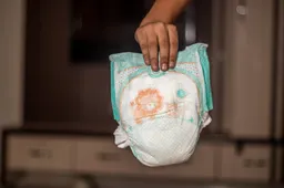 readyelements-absorbent-3509508