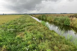 Valleikanaal binnenveldse hooilanden