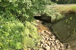 Veldbeek Bussenweg Putten