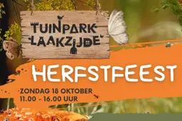 Ontwerp zonder titel (7)