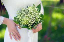 wedding-7202466_1280