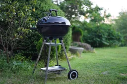 bbq-gf708db1ab-640