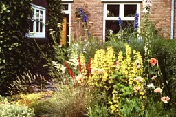 levende tuin 01
