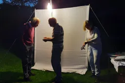 nachtvlinders op laken