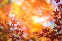 Ontwerp zonder titel (48)