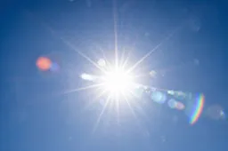 zon (2)