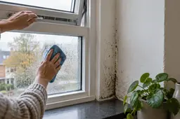 Vocht en beginnende schimmel bij een raam in een woning in Apeldoorn