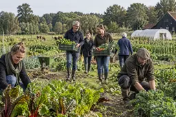 Boerderij illustratie
