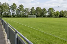 voetbal ter illustratie 2