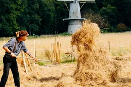 hooien nederlands openluchtmuseum