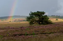 arnhem en defensienatuur