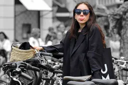 BOB campagne.1.Pixabay