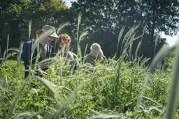 Biologische teelt in Velp