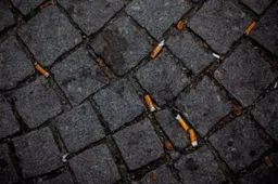 peukenafval tegen te gaan - Gemeente Arnhem