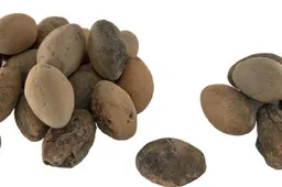 Vondst van de maand.Slingerkogels uit de 1ste eeuw na Chr. - Gemeente Arnhem