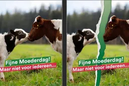 Moederdag PvdD Gelderland - niet voor iedereen(1)