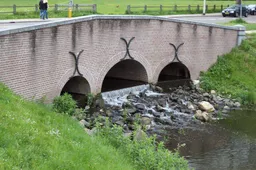 Stadsflora-wandeling in Arnhem . KNNV Afdeling Arnhem e.o