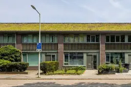 Sedumdak Arnhem subsidie vanaf 1 januari 2027 Sedum van Lensen