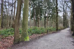 bomen asserbos