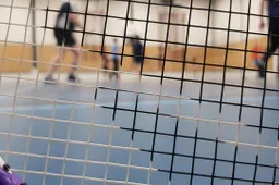 badminton-4730824_1280