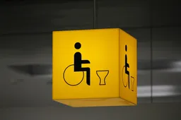 disabled-toilet-548404-960-720-invalidetoilet
