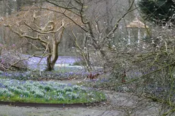 unnamed - 2026-02-26T141653.452