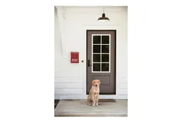 Schermafbeelding 2026-03-09 113057