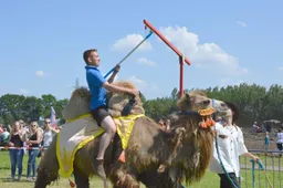 pn05062016 CrisisCross4