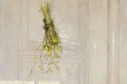 unnamed - 2026-08-24T120751.422
