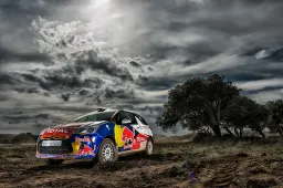 PILOTI CON LA CITROEN RALLY DRIVING EXPERIENCE