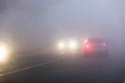 Guidare nella nebbia: i 5 consigli per non andare nel panico