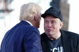 Elon Musk ha fatto perdere a Tesla 1 milione di auto negli USA: lo studio che spiega il crollo