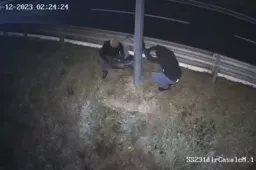 Abbattono due autovelox che fruttavano 900.000 euro: il VIDEO