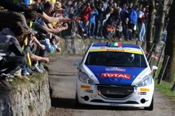 Peugeot Competition 2014: il Leone è ancora affamato